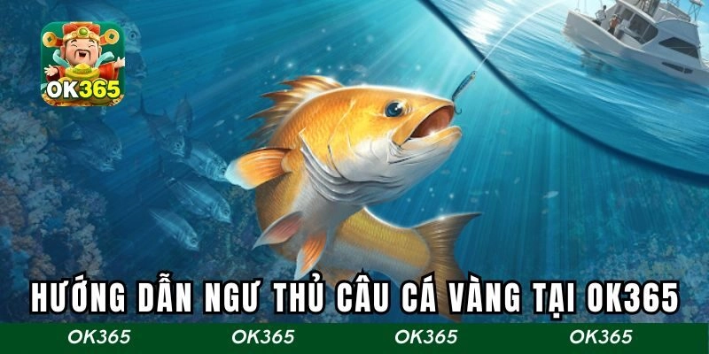 Hướng dẫn ngư thủ cách câu cá vàng tại OK365