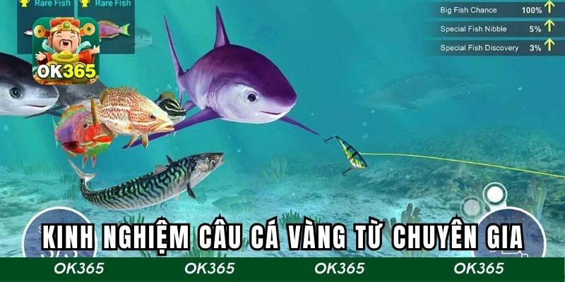 Kinh nghiệm câu cá vàng cực hot từ chuyên gia