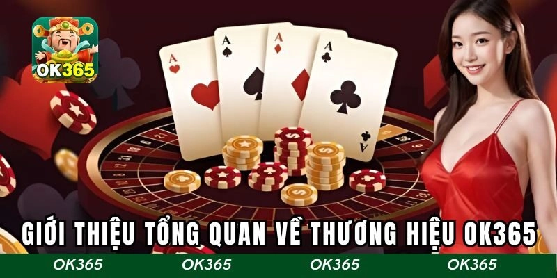 Ok365 Nâng tầm hiệu quả làm việc - Khám phá sức mạnh trọn vẹn